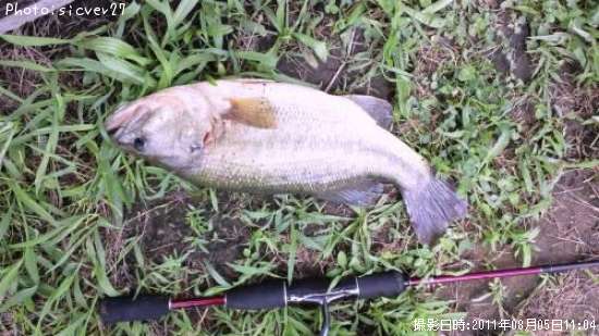 �֥�å��Х�