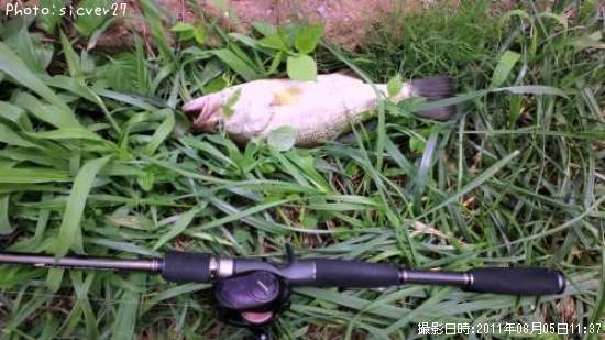 �֥�å��Х�