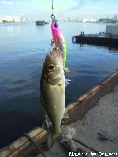 �����Х�