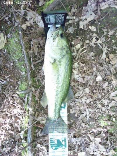 �֥�å��Х�