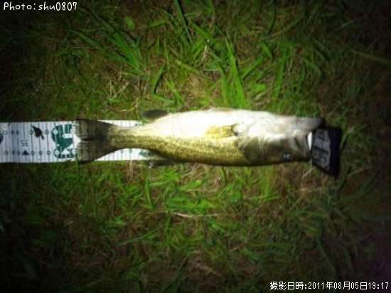 �֥�å��Х�