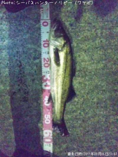 �����Х�