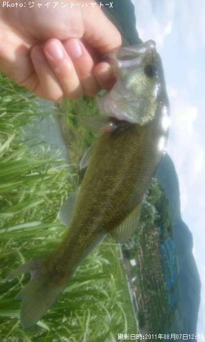 �֥�å��Х�