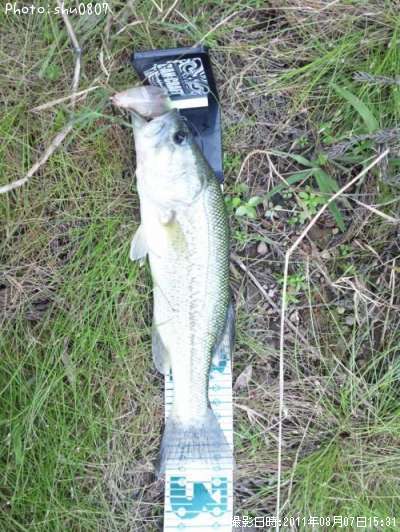 �֥�å��Х�