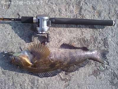 �����ʥ�