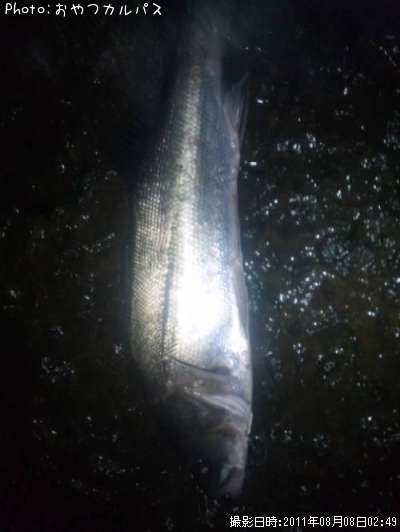 �����Х�