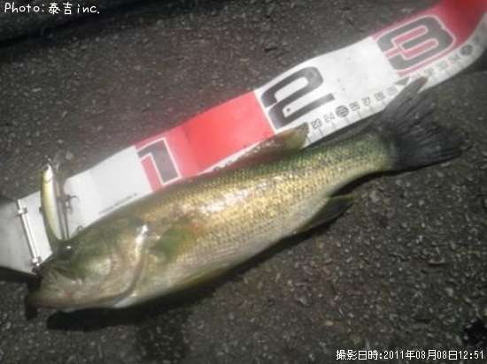 �֥�å��Х�