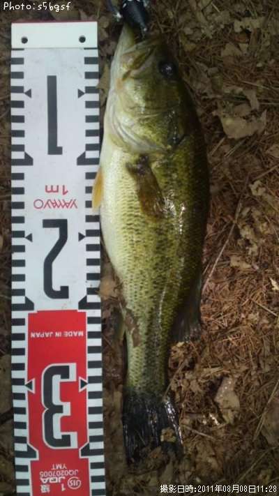 �֥�å��Х�