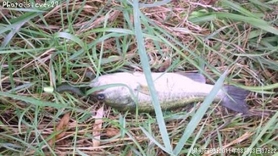 �֥�å��Х�