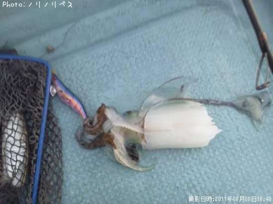 �����ꥤ��