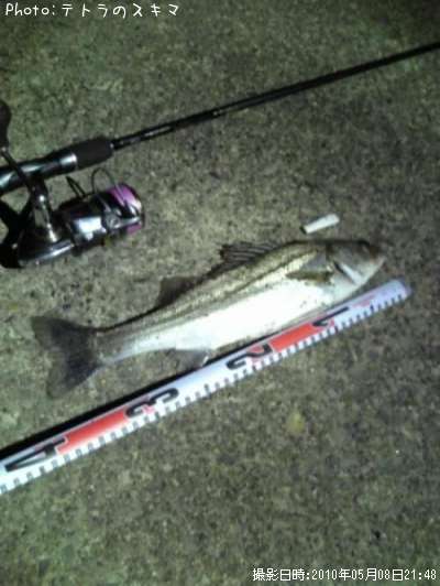 �����Х�