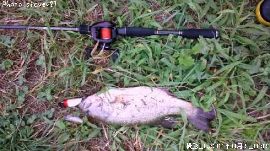 �֥�å��Х�