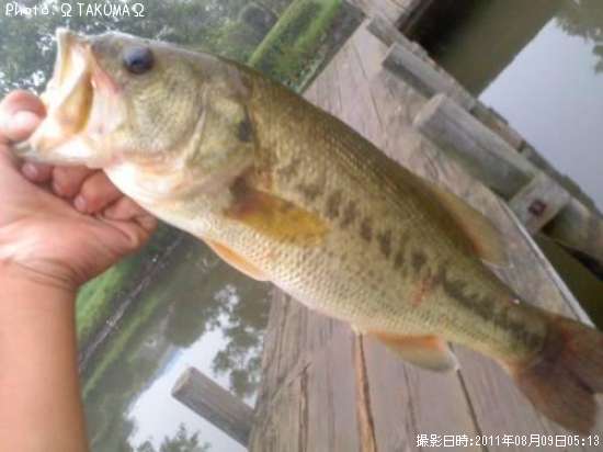 �֥�å��Х�