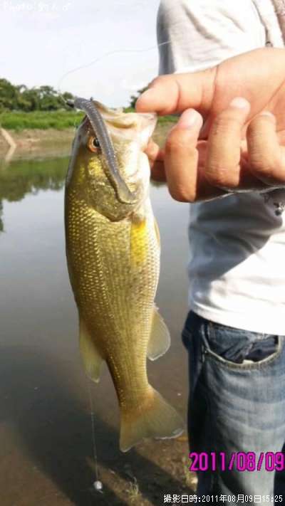 �顼���ޥ����Х�