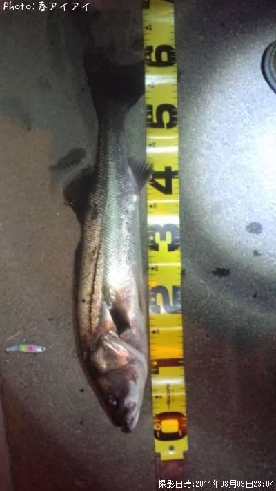 �����Х�