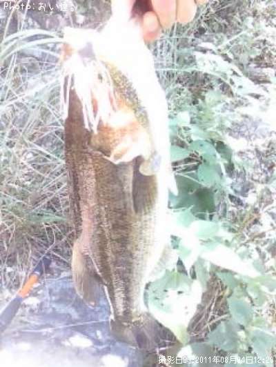 �֥�å��Х�