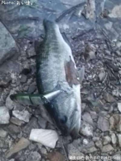 �֥�å��Х�