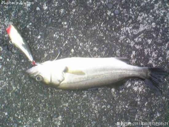 �����Х�