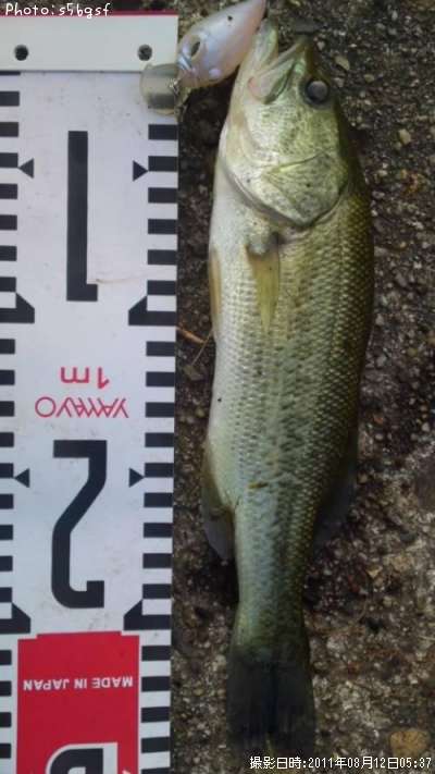 �֥�å��Х�