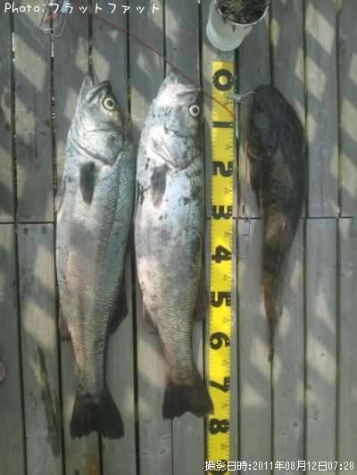 �����Х������ޥ���