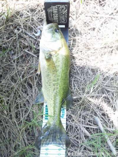 �֥�å��Х�