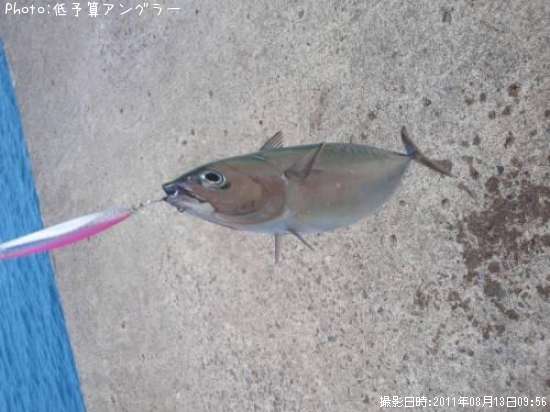 ���������ĥ�