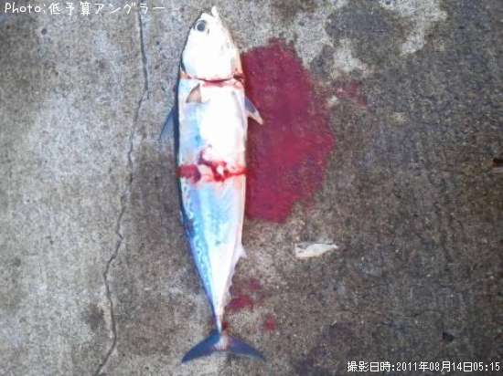 ���������ĥ�