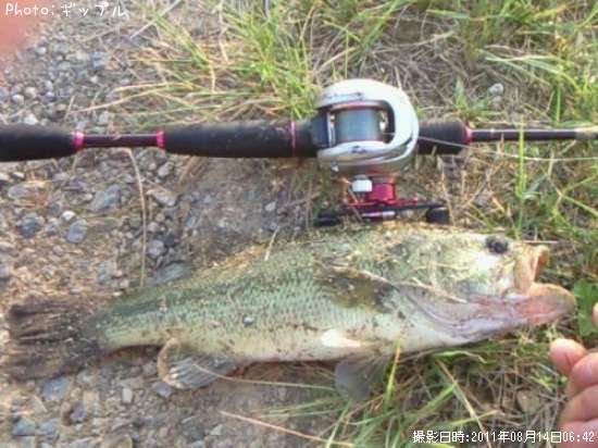 �֥�å��Х�