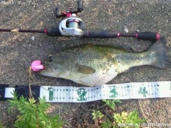 �֥�å��Х�