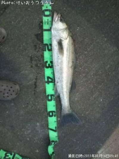 �����Х�