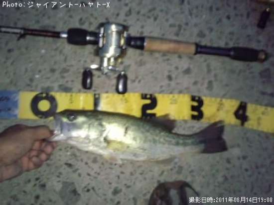 �֥�å��Х�