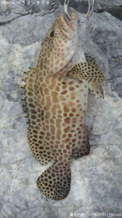 �����ߡ��Х�