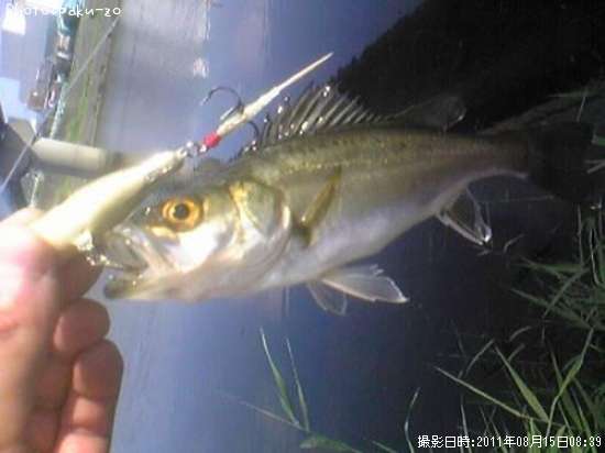 �����Х�