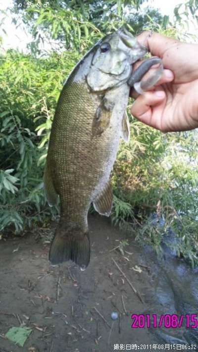 ���⡼��ޥ����Х�