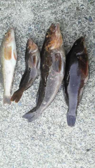 �����ʥ�