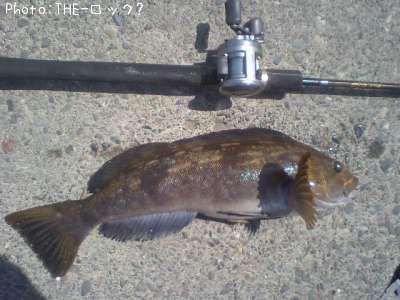 �����ʥ�