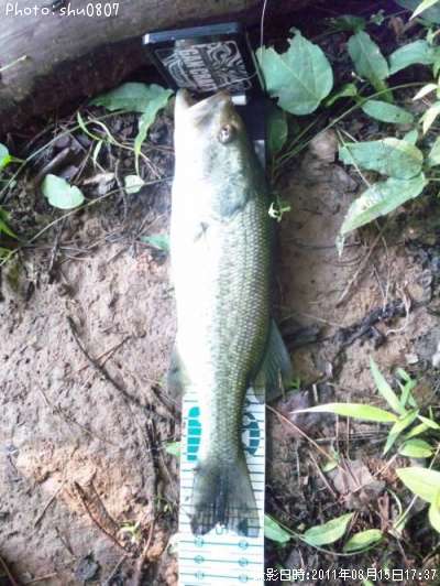 �֥�å��Х�