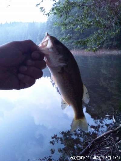 �֥�å��Х�