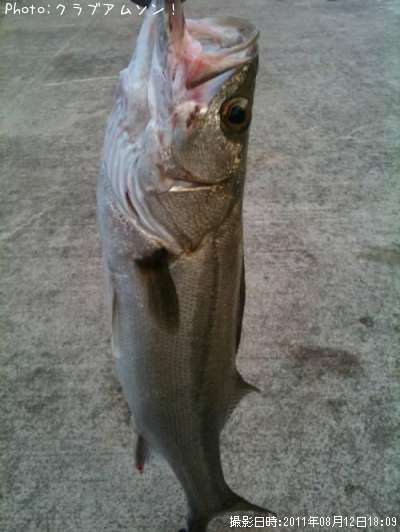 �����Х�