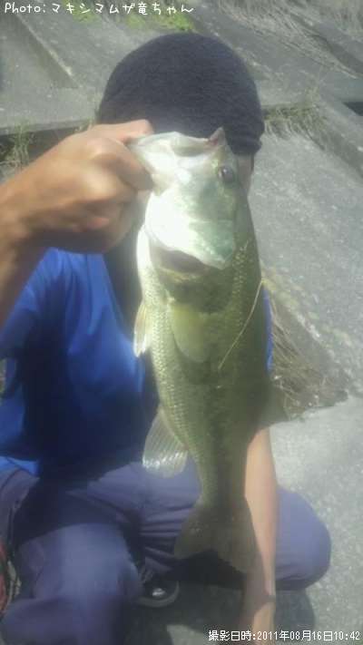 �֥�å��Х�