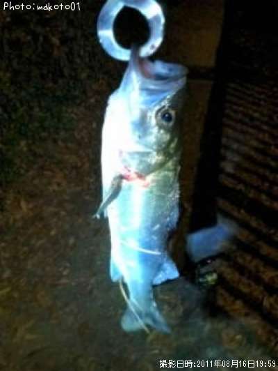 �����Х�