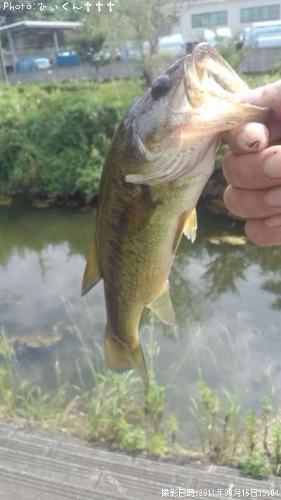 �֥�å��Х�