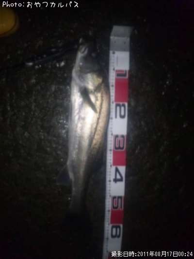 �����Х�