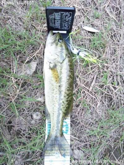 �֥�å��Х�