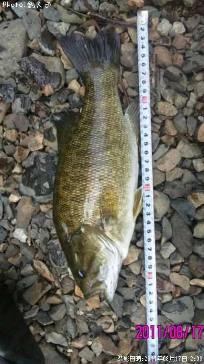 ���⡼��ޥ����Х�