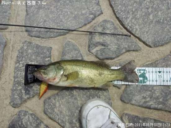 �֥�å��Х�