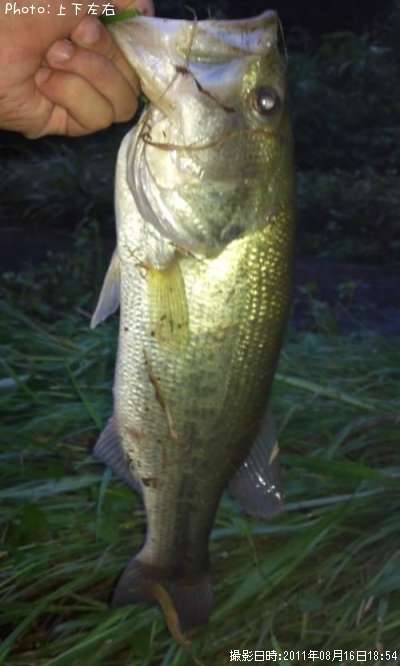 �֥�å��Х�