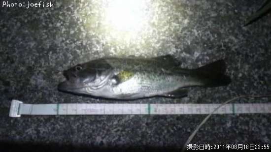 �֥�å��Х�