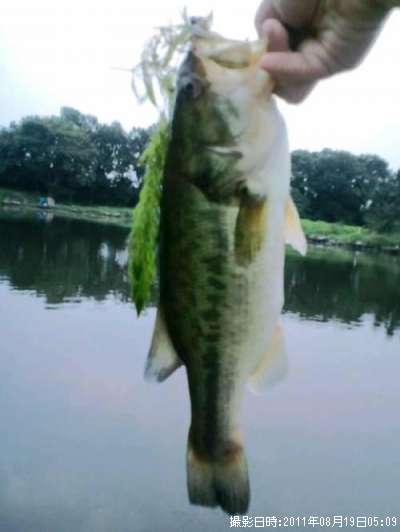 �֥�å��Х�