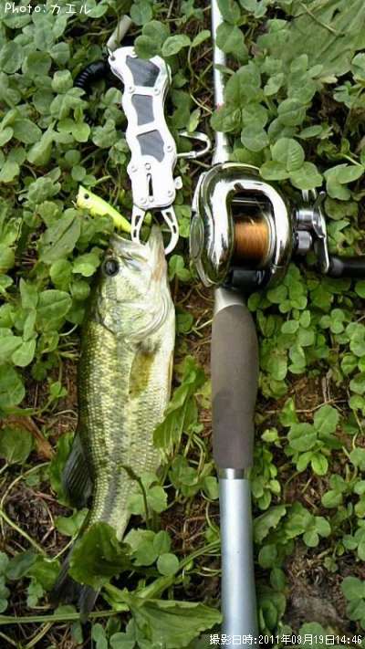 �֥�å��Х�